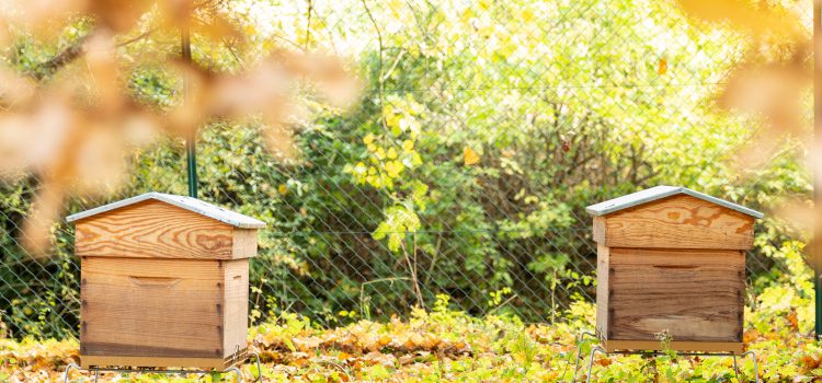 Installation of hives: the gateway to your CSR approach